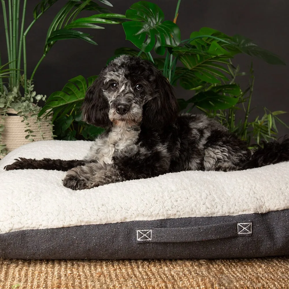 100% Recycled Eden Pillow Dog Bed - Charcoal Grey