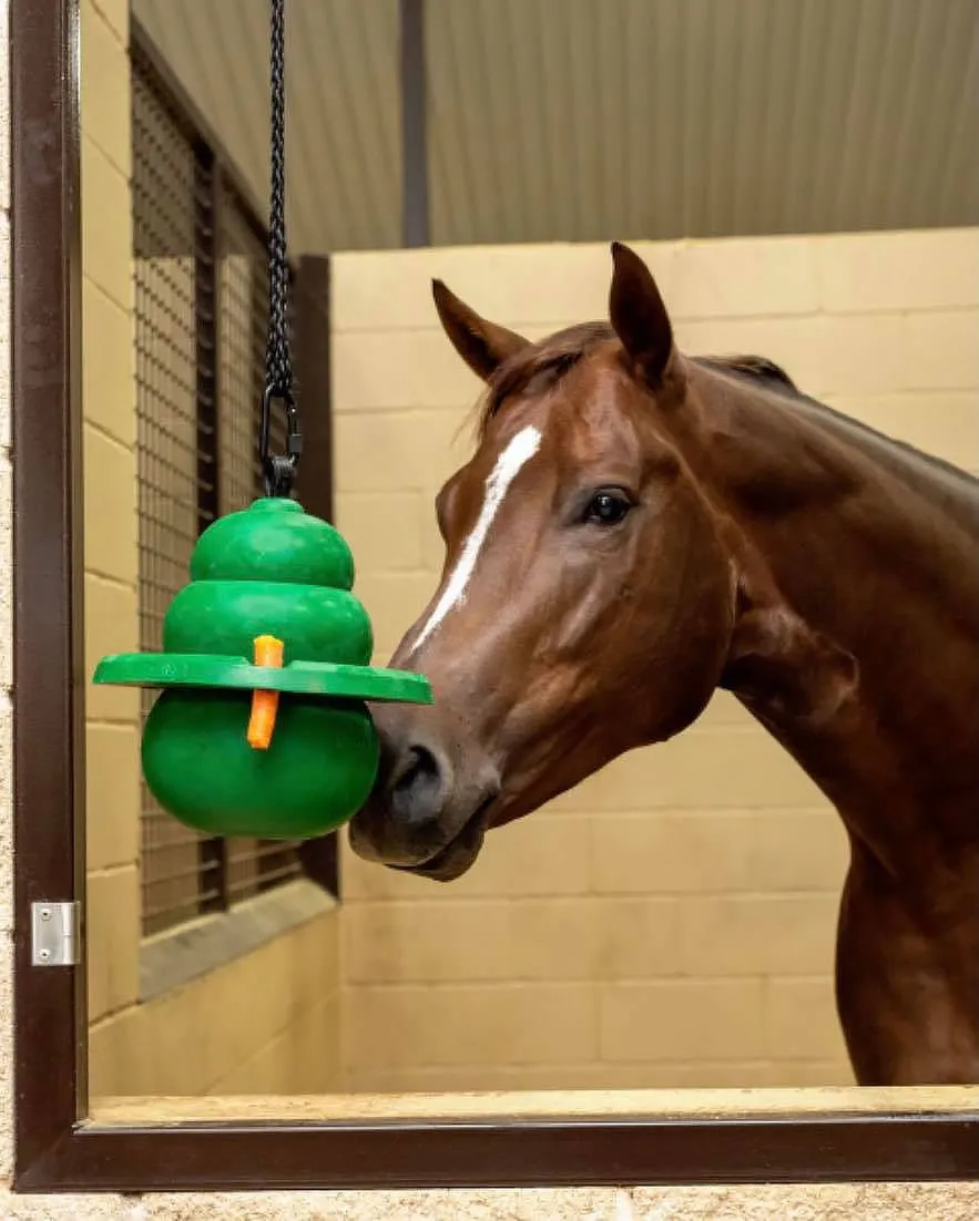 12" KONG Equine Hanging Set w/ Treat Ring, Green