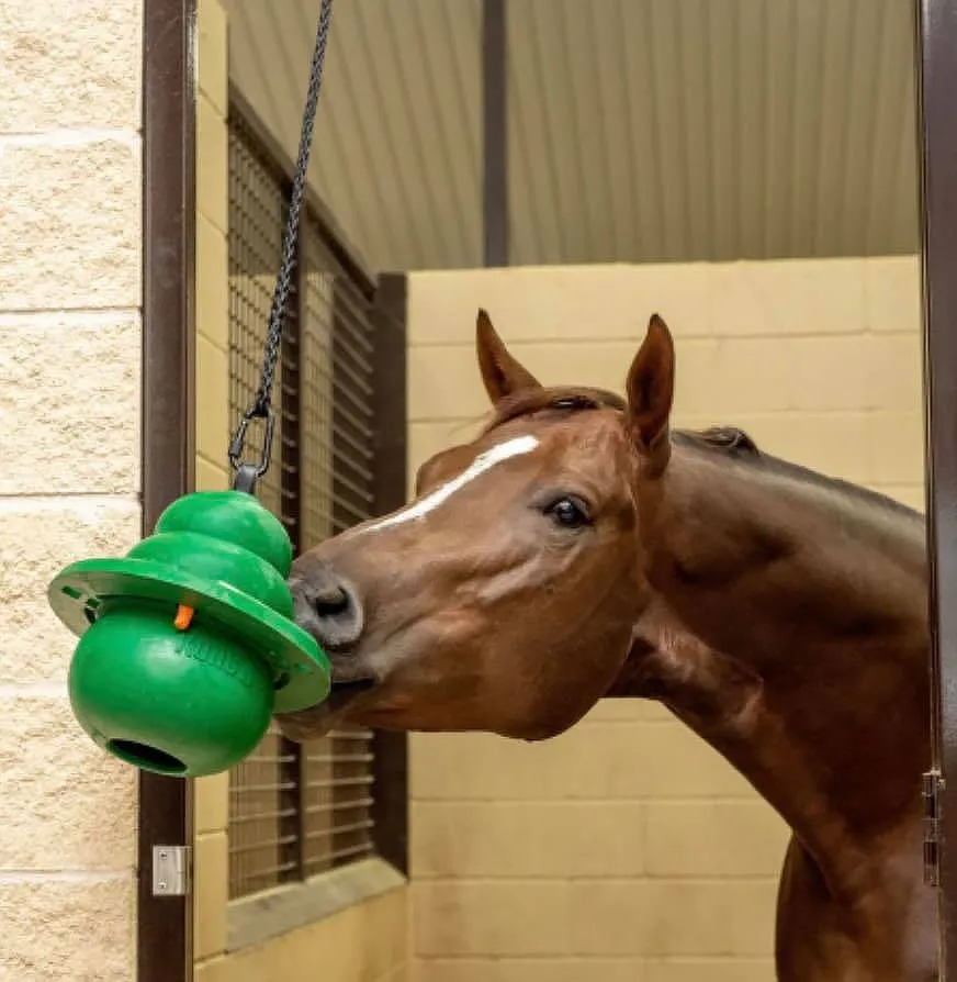 12" KONG Equine Hanging Set w/ Treat Ring, Green