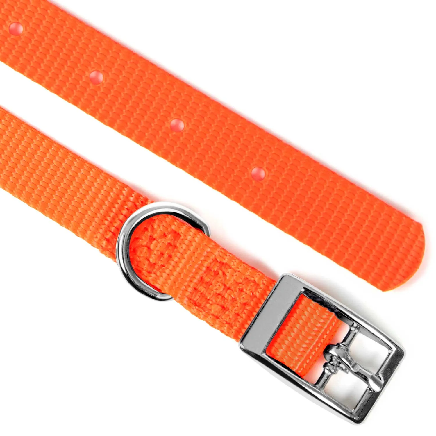 5/8"W Jeffers Nylon Dog Collar, 10"L