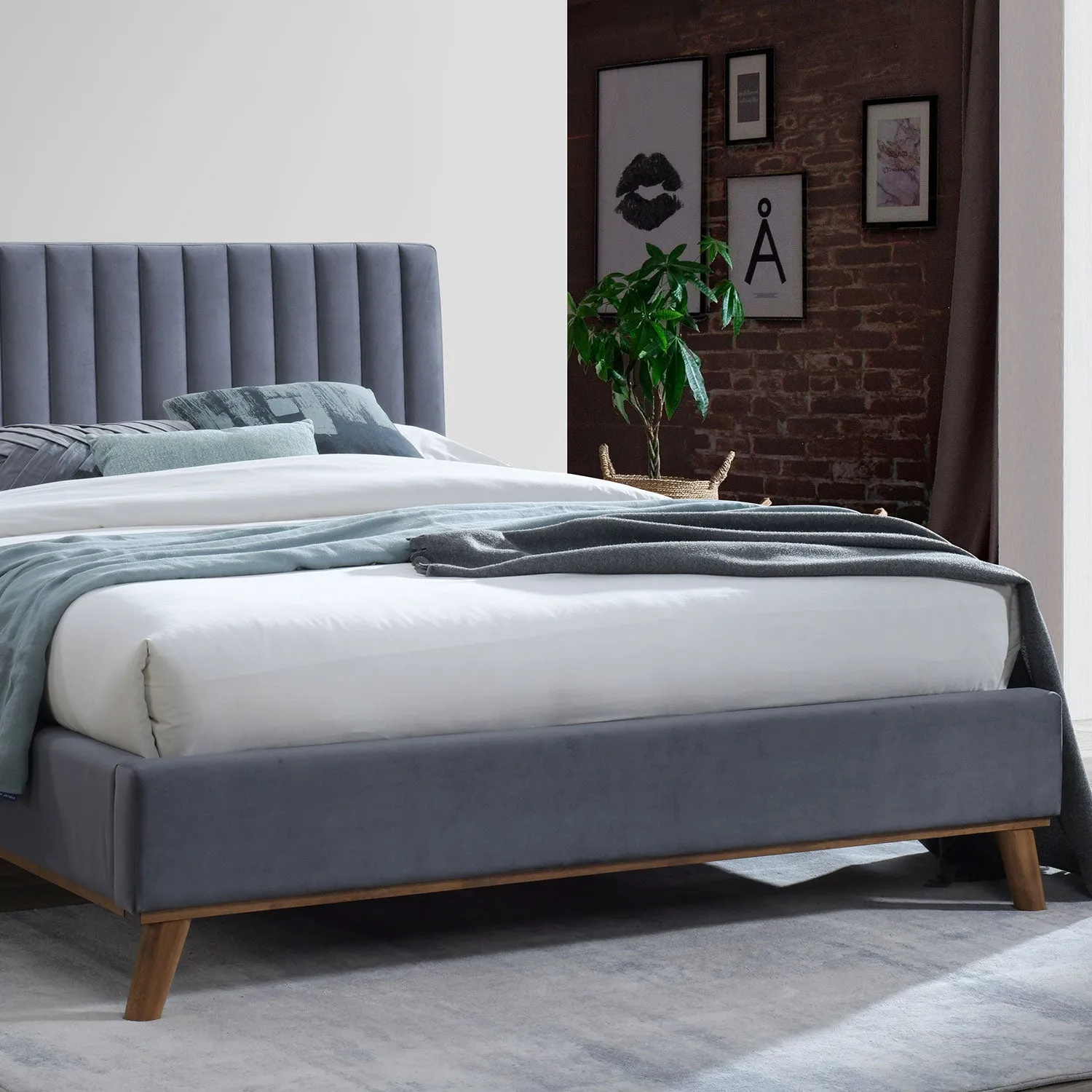 Albany Modern Upholstered Plush Velvet Fabric Bed