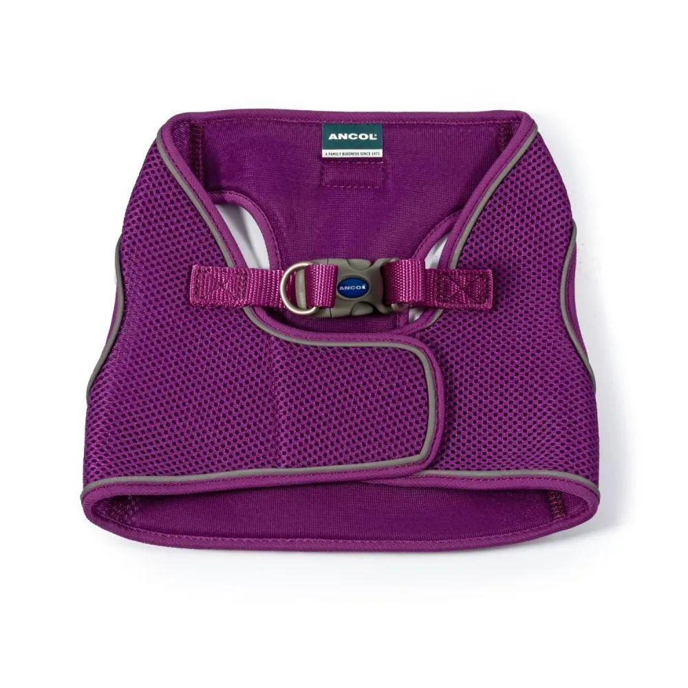 Ancol Viva Purple Step-In Harness