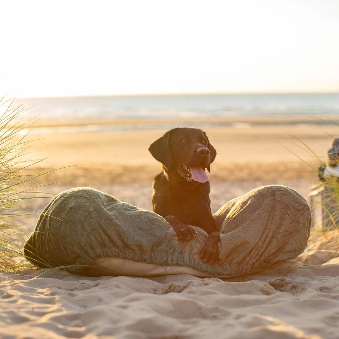 Bamboo Drying Cushion Cover in Fir by Lords & Labradors