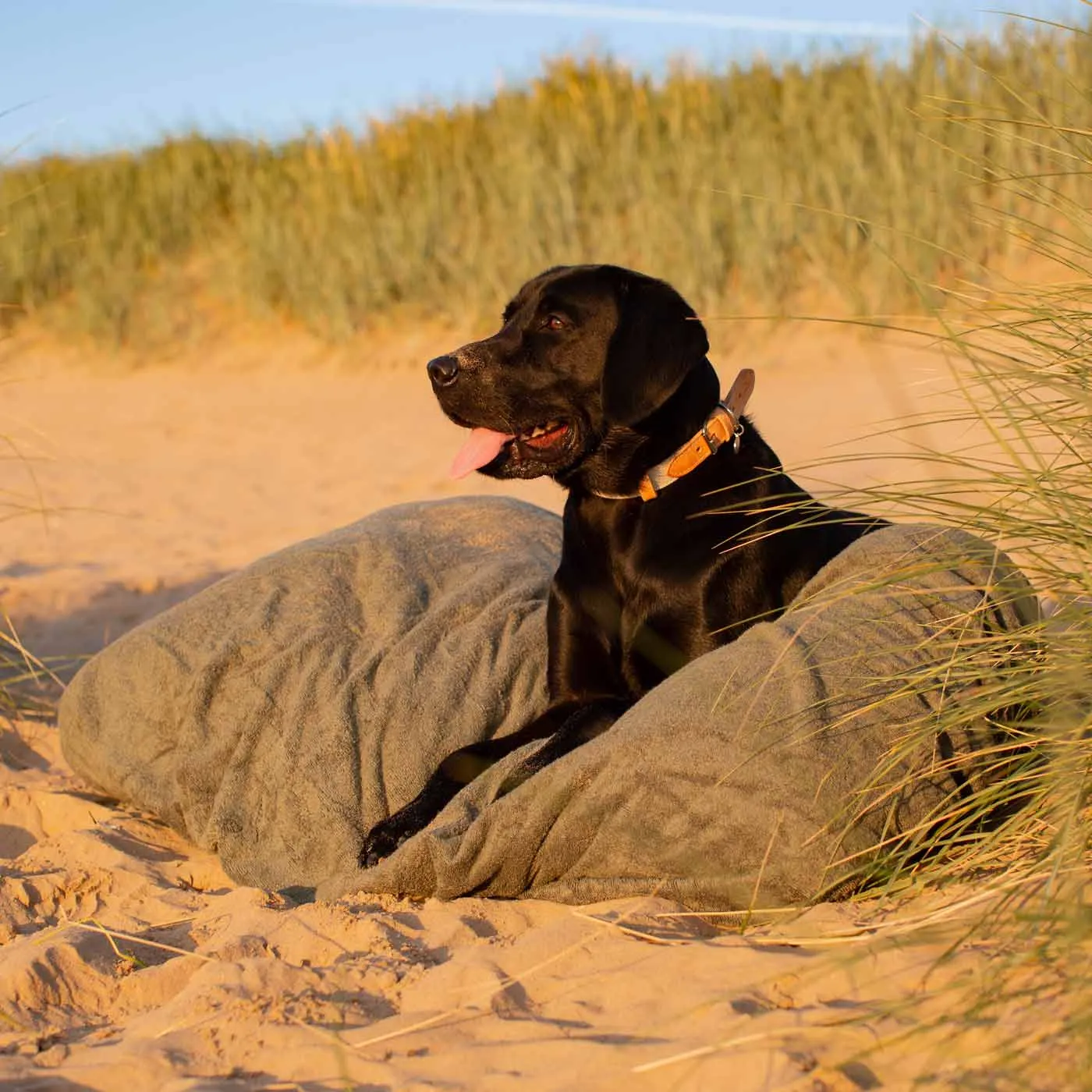 Bamboo Drying Cushion Cover in Fir by Lords & Labradors