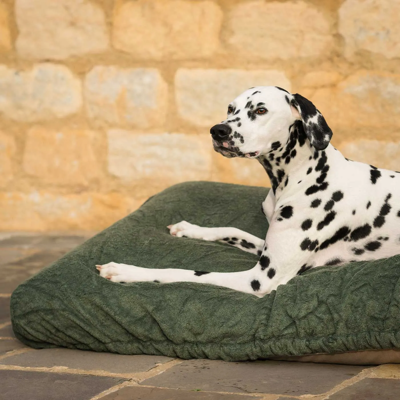 Bamboo Drying Cushion Cover in Fir by Lords & Labradors