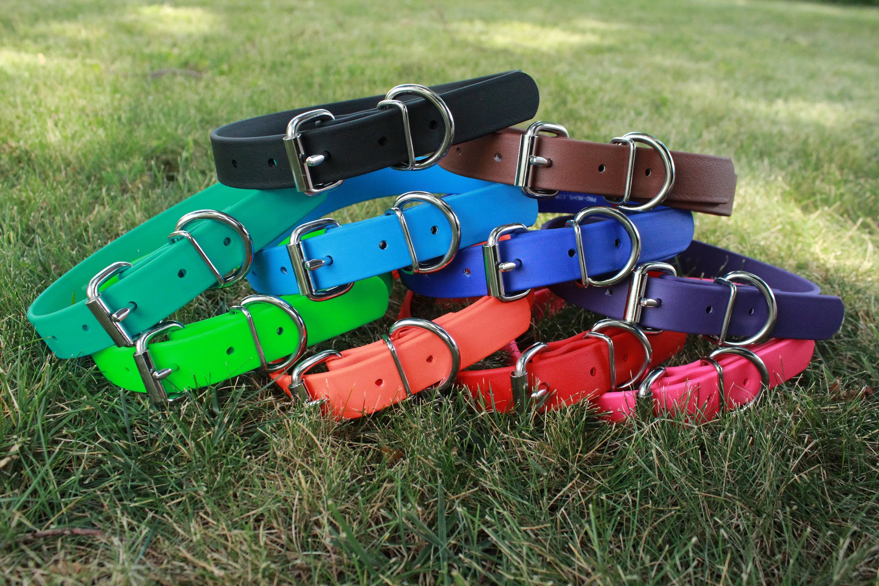 BioThane 3/8" Buckle Collars