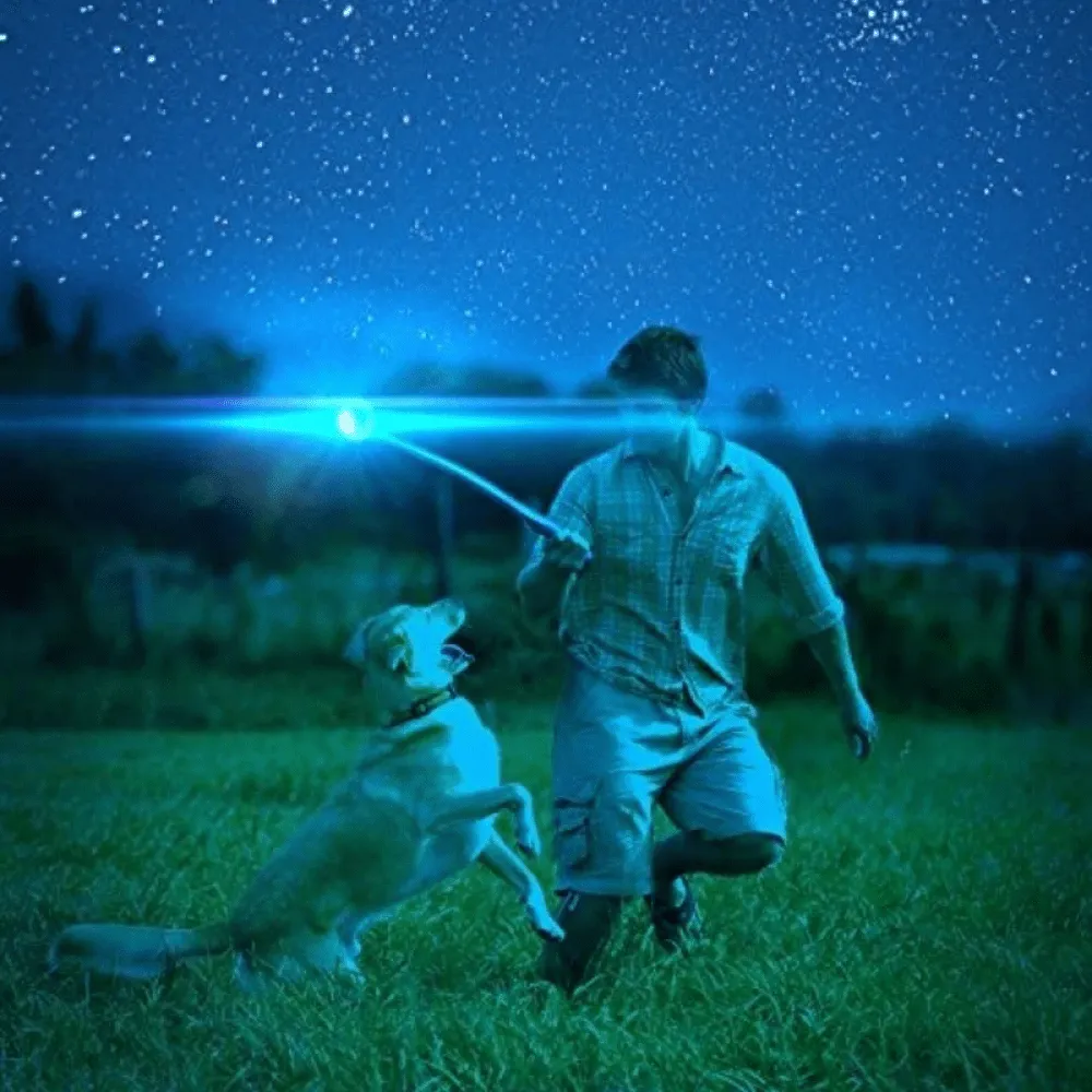 Chuckit! Max Glow Ball for Dogs | For Medium Chewers