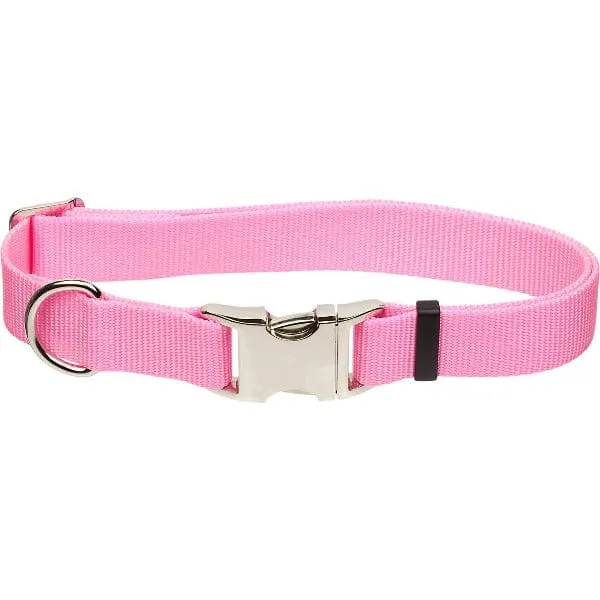 Coastal Adjustable Nylon Collar with Metal Buckle