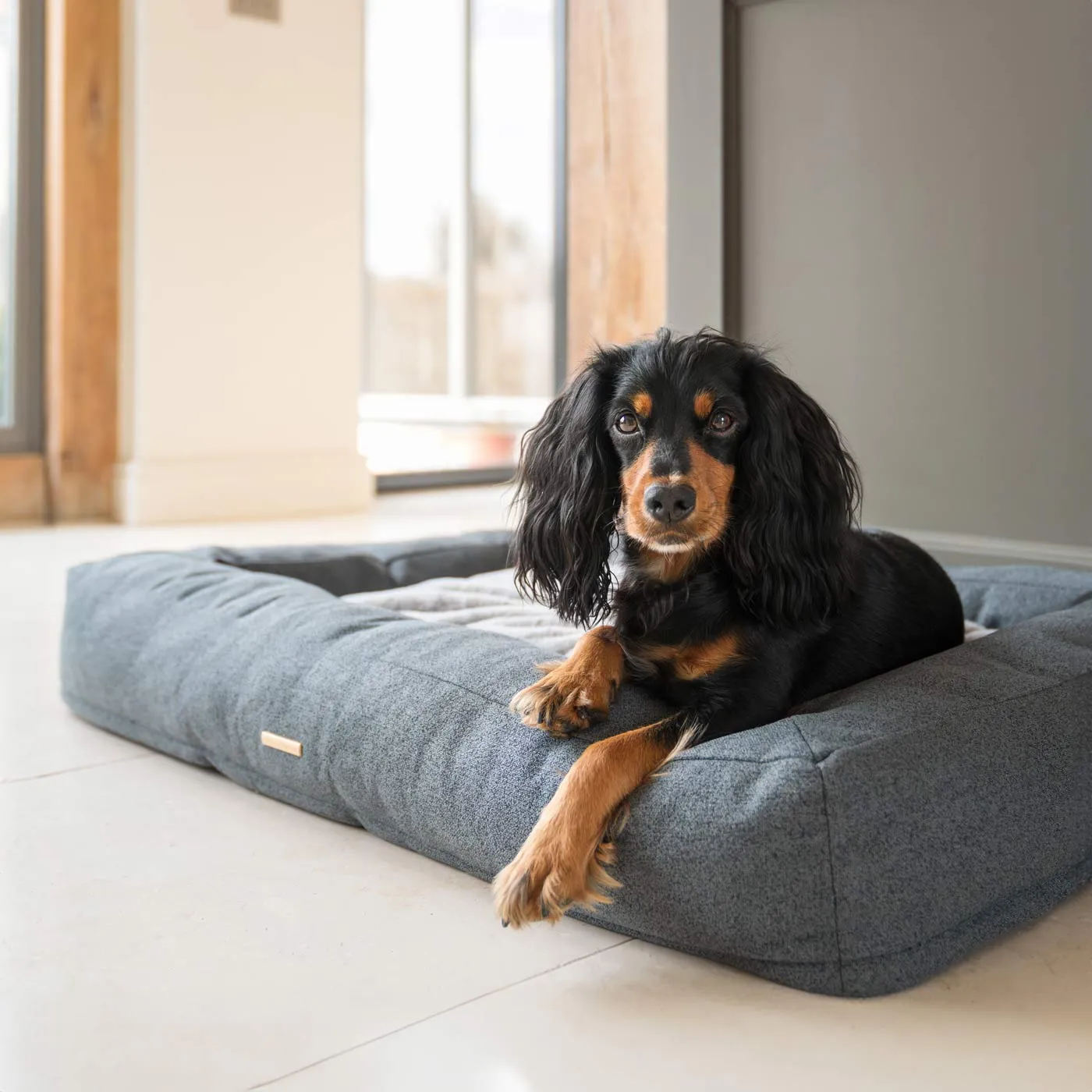 Comfort Cube Dog Bed in Anthracite by Lords & Labradors