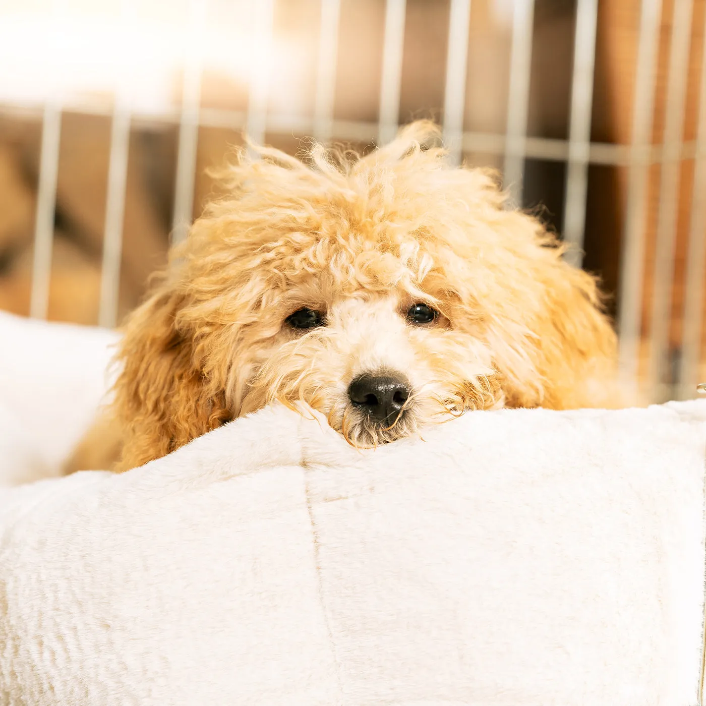 Cosy & Calming Puppy Crate Bed Calming Anti-Anxiety Cream Faux Fur by Lords & Labradors