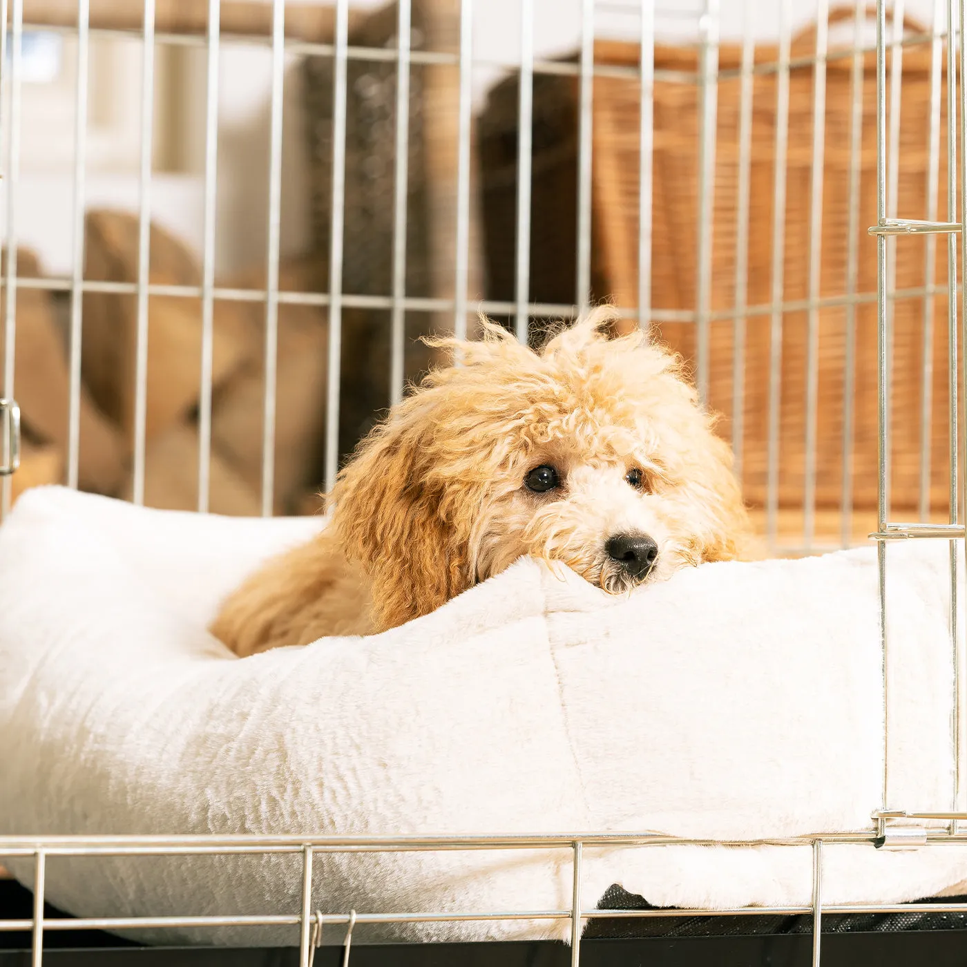 Cosy & Calming Puppy Crate Bed Calming Anti-Anxiety Cream Faux Fur by Lords & Labradors