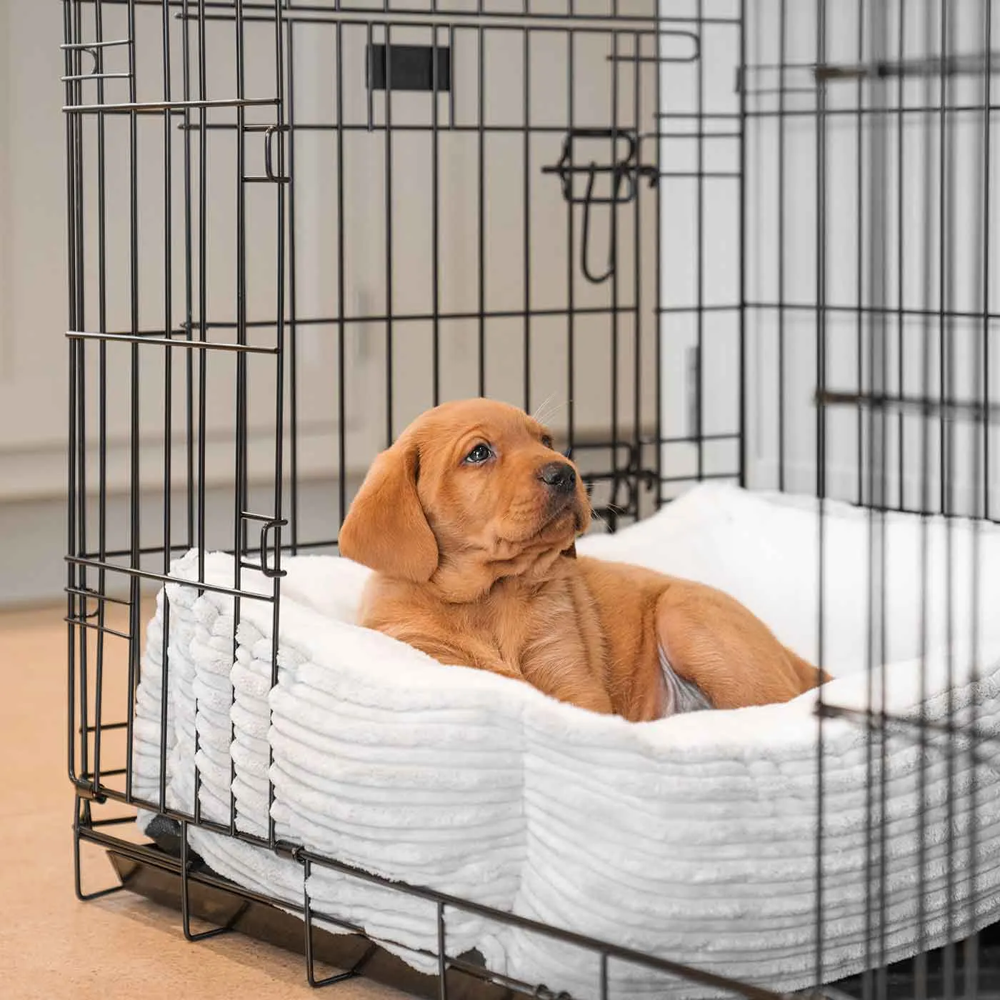 Cosy & Calming Puppy Crate Bed in Light Grey Essentials Plush by Lords & Labradors