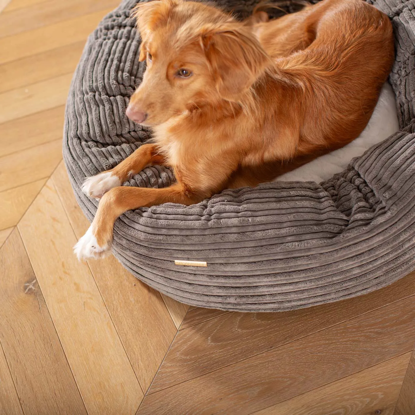 Donut Bed With Removable Covers in Dark Grey Essentials Plush by Lords & Labradors