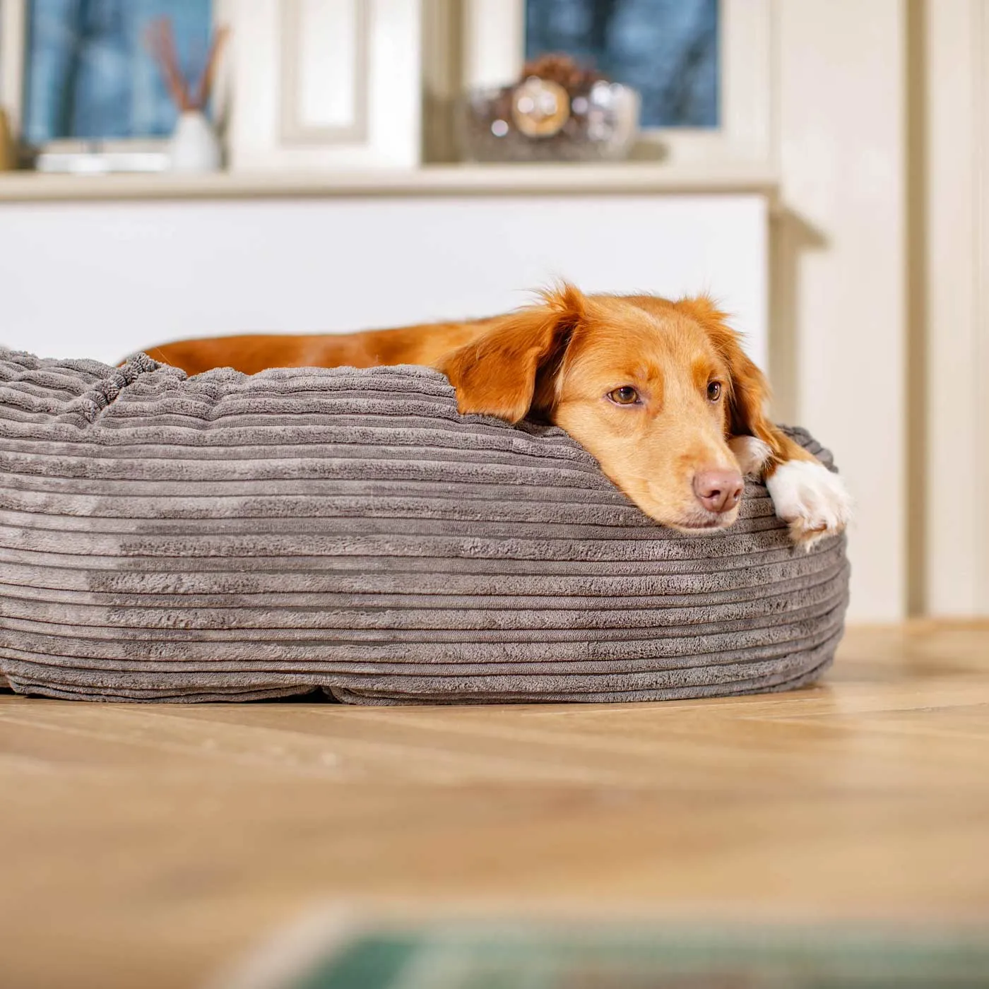 Donut Bed With Removable Covers in Dark Grey Essentials Plush by Lords & Labradors