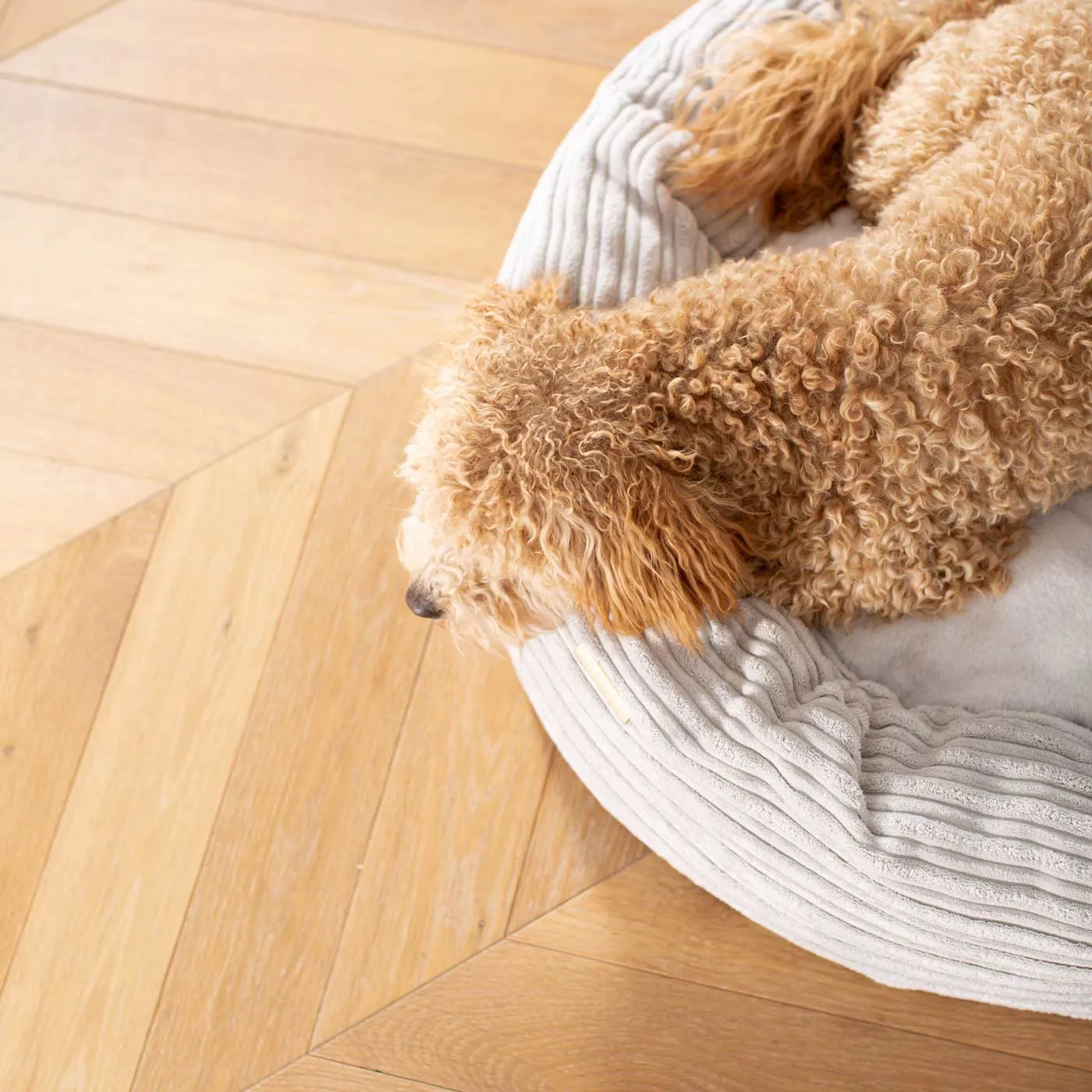 Donut Bed With Removable Covers in Light Grey Essentials Plush by Lords & Labradors