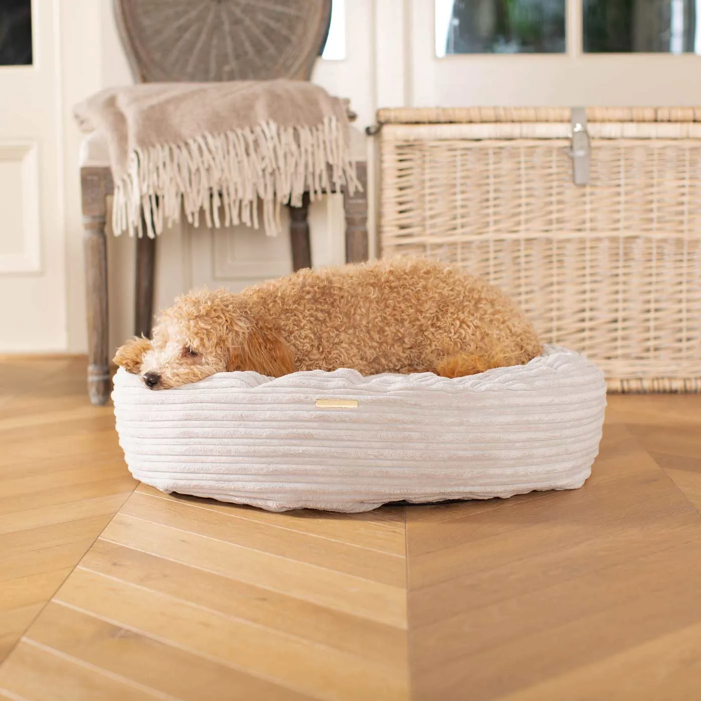 Donut Bed With Removable Covers in Light Grey Essentials Plush by Lords & Labradors