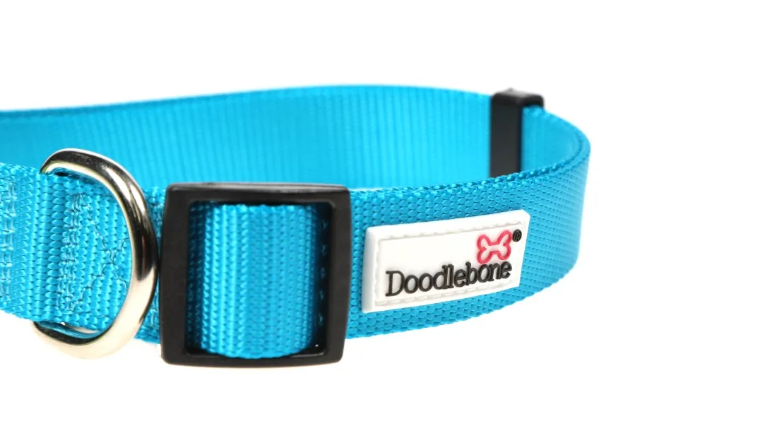 Doodlebone Aqua Dog Collar