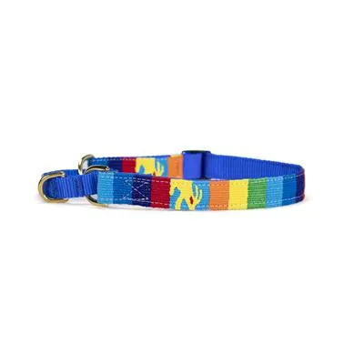 Fiesta Collars, Leashes, & Martingale Collars