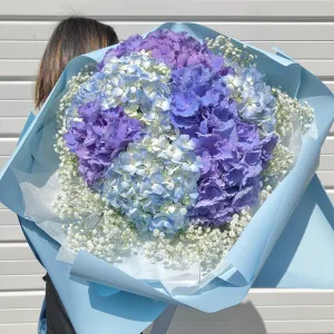 Fresh Hydrangea Mixed Round Bouquet