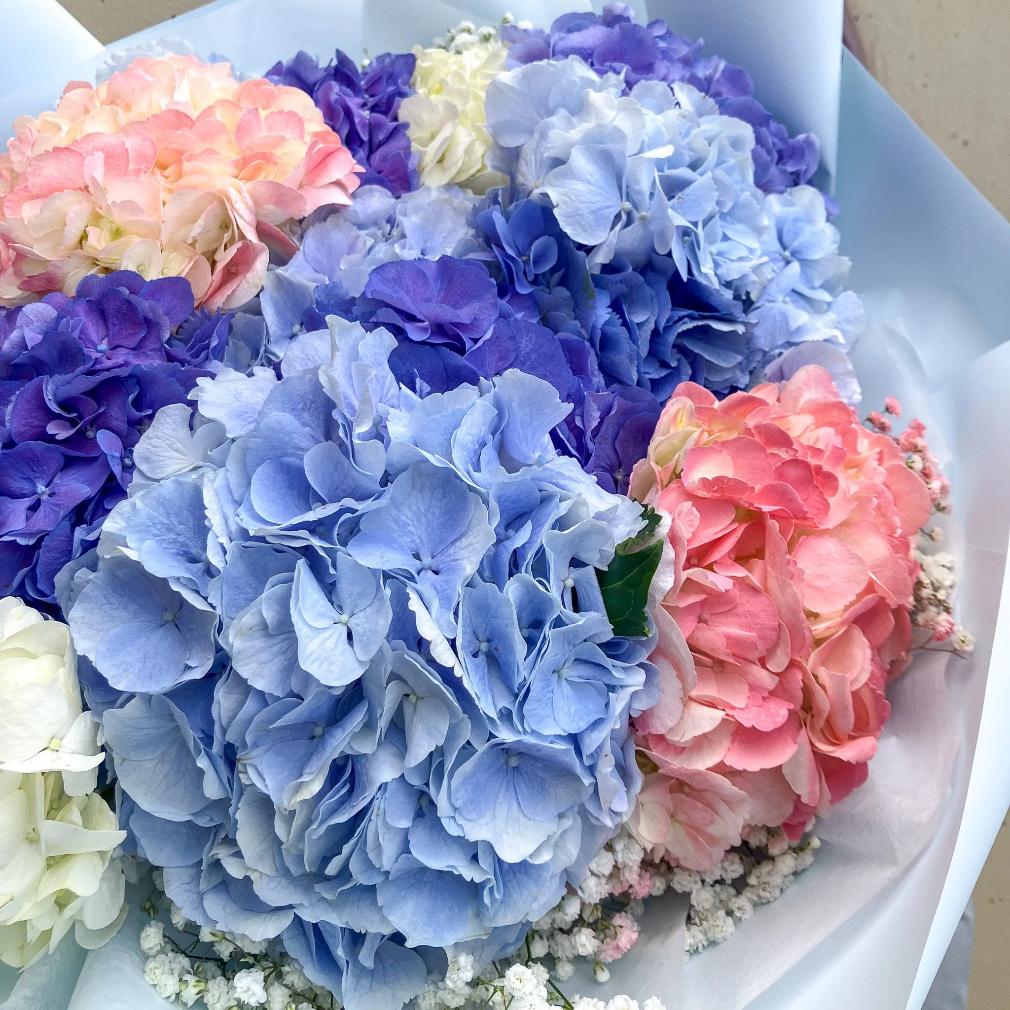 Fresh Hydrangea Mixed Round Bouquet