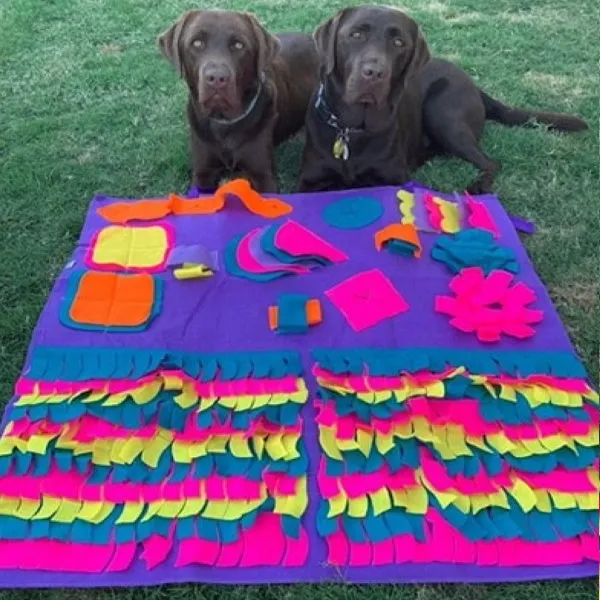 Interactive Snuffle Mat