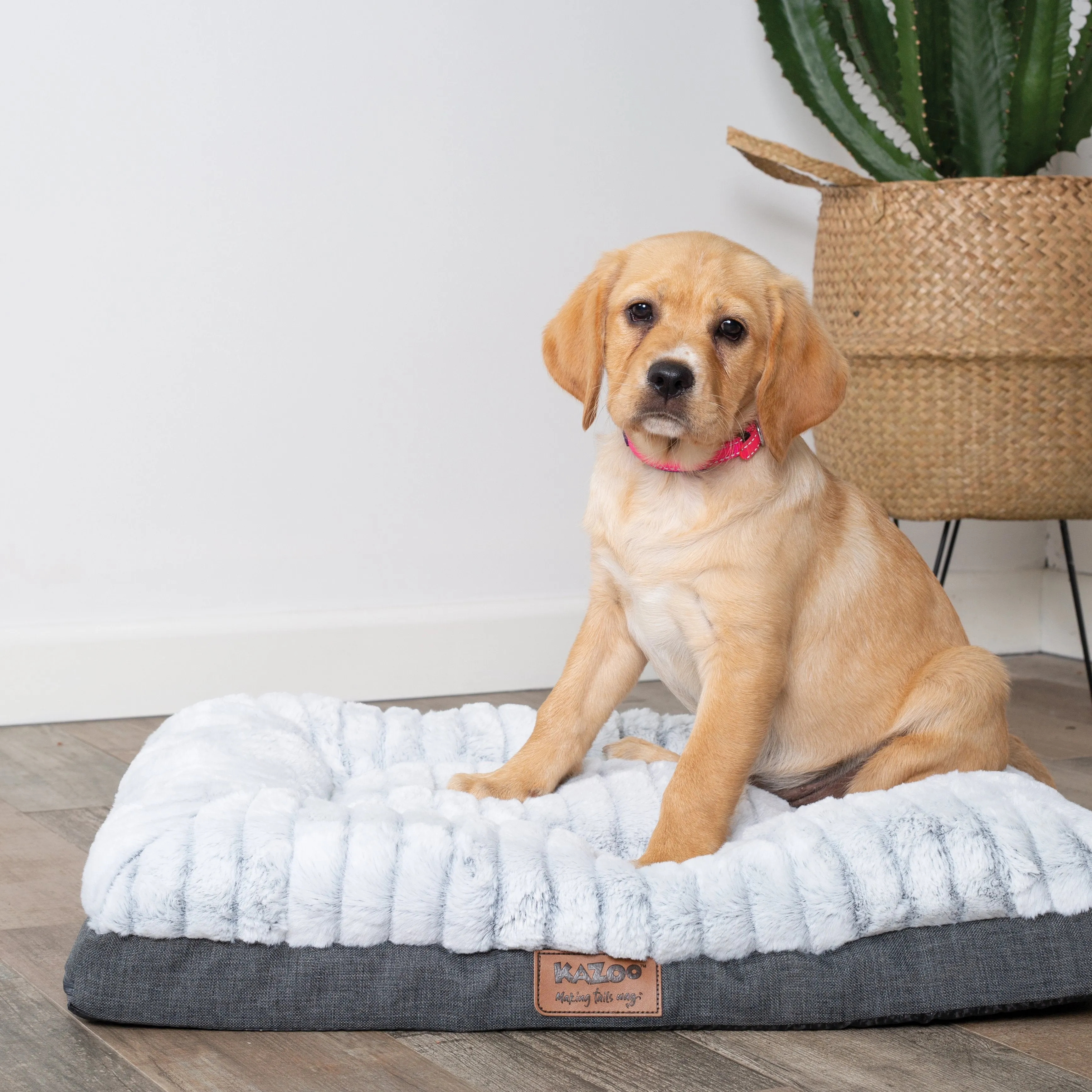 Kazoo Cloud Comfort Medium Grey Dog Bed