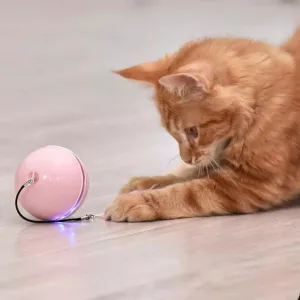 LED Light Electric Pet Ball With Feather