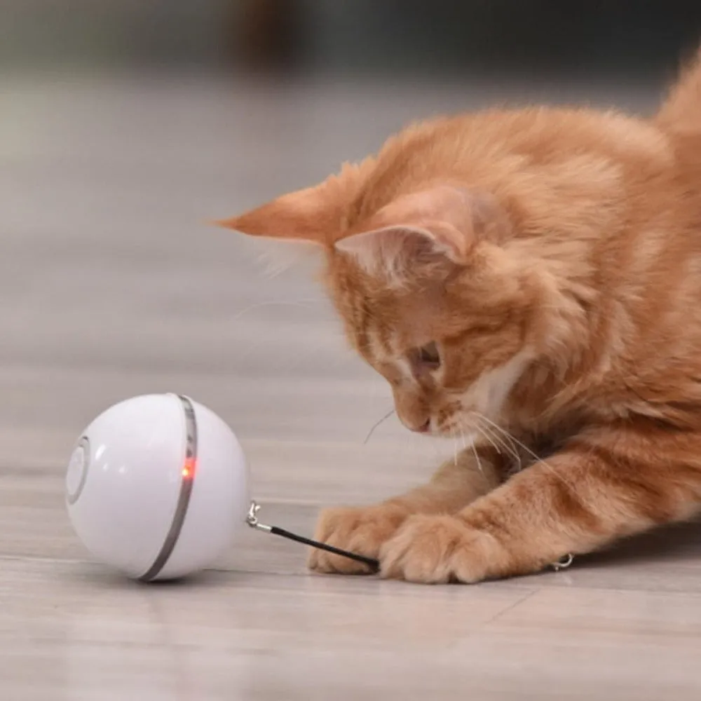 LED Light Electric Pet Ball With Feather