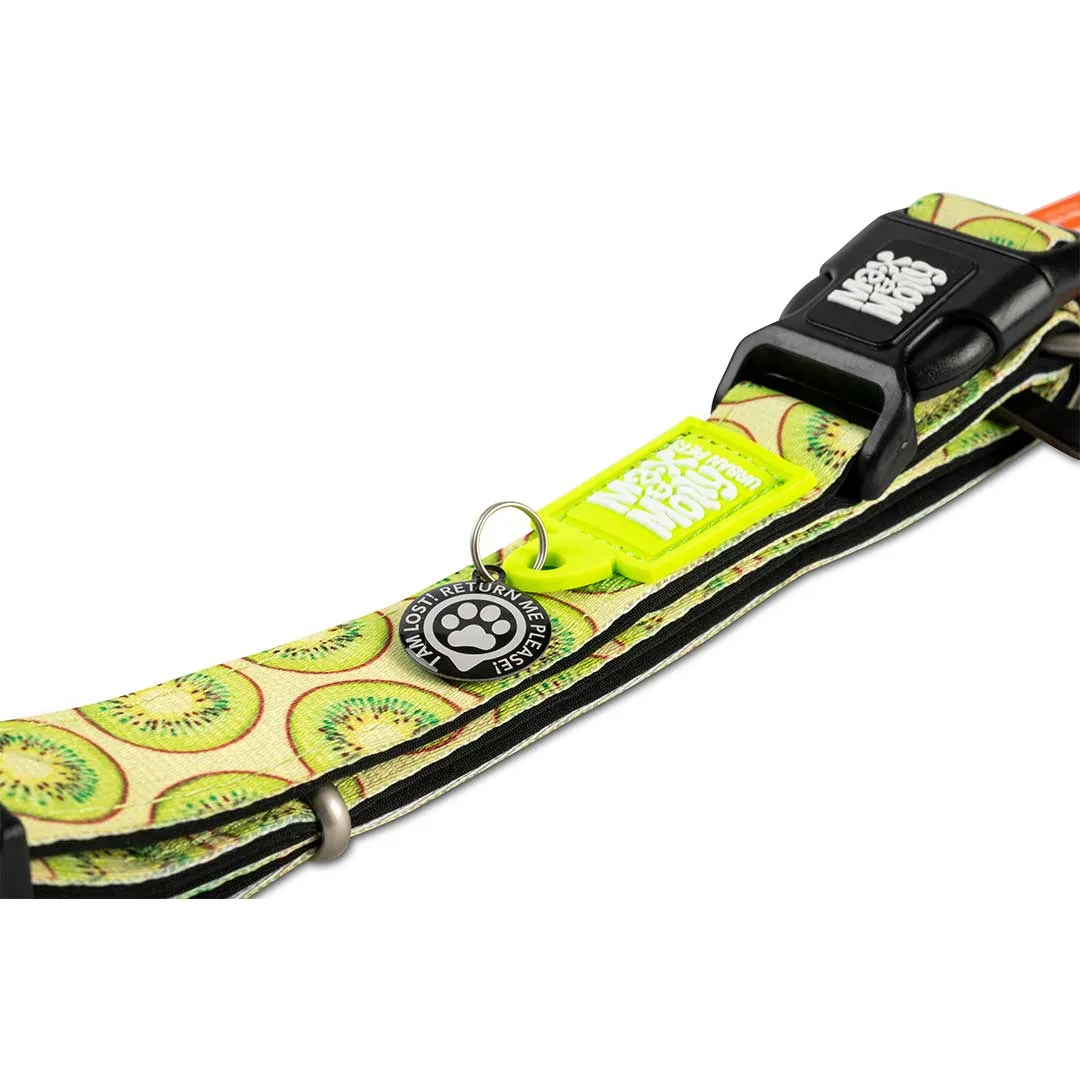 Max & Molly Kiwi Smart ID Dog Collar Large