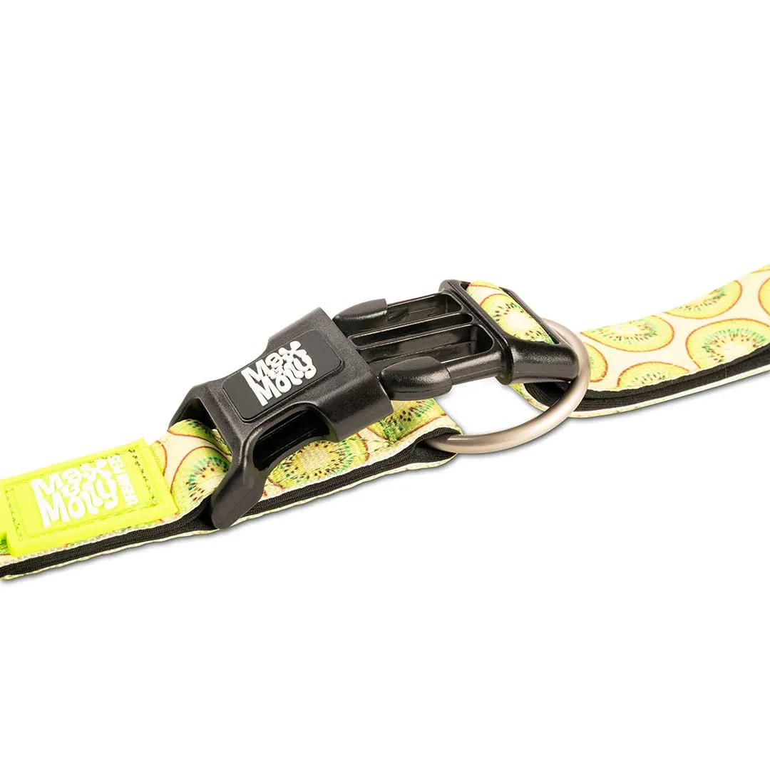 Max & Molly Kiwi Smart ID Dog Collar Large