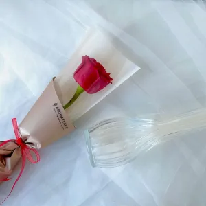 My One and Only Single Fresh Rose with Wrapping