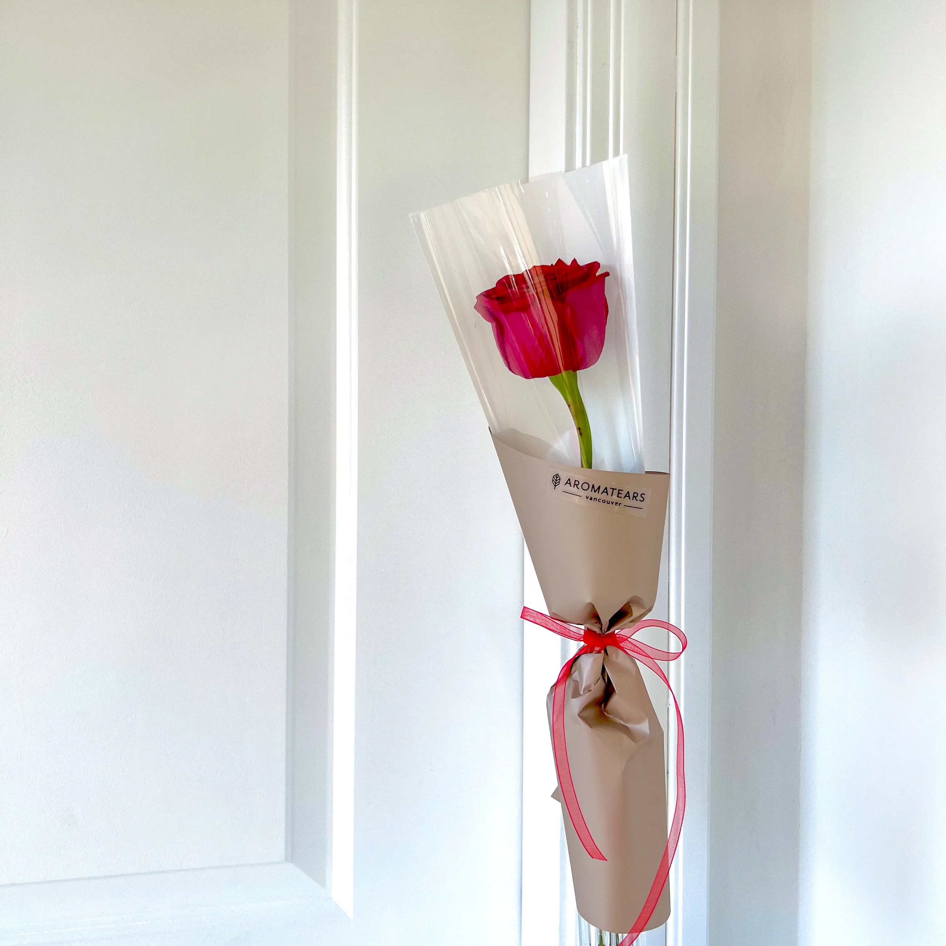 My One and Only Single Fresh Rose with Wrapping