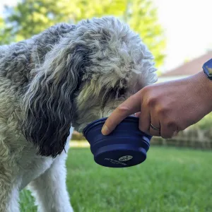 New Holland Collapsible Pet Bowl