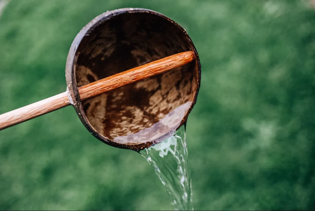 Q Toys Coconut Shell Water Scoop