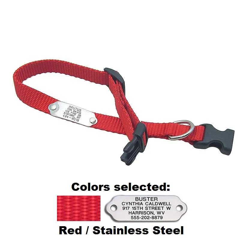 Rivet ID Collar for Dogs