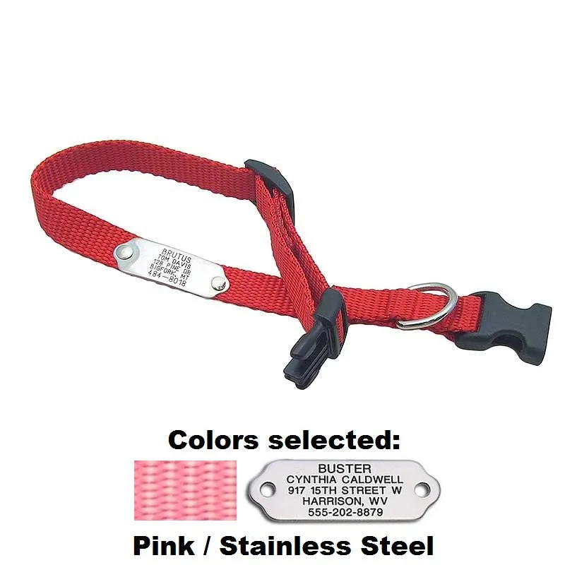 Rivet ID Collar for Dogs