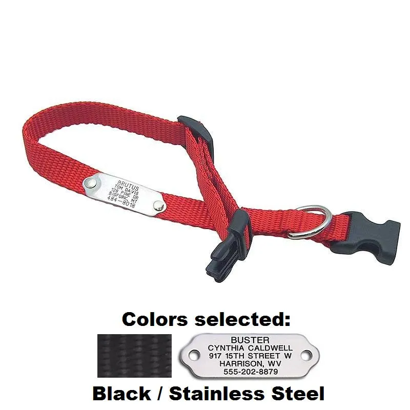 Rivet ID Collar for Dogs