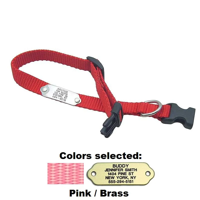 Rivet ID Collar for Dogs