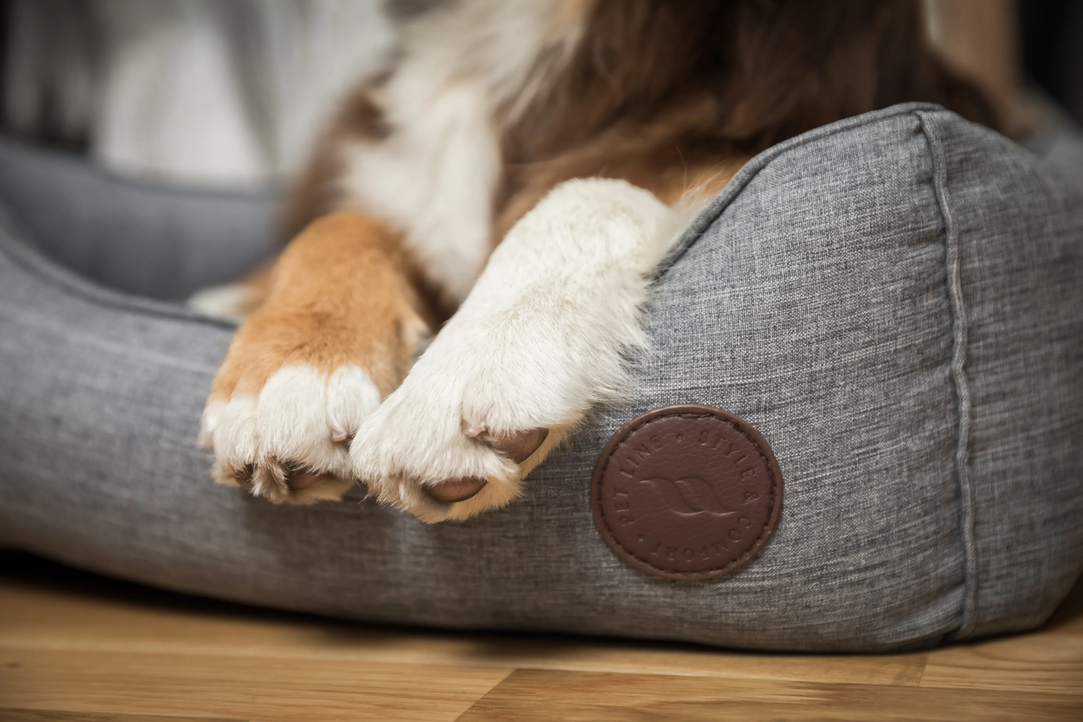 Rocky Dog Bed