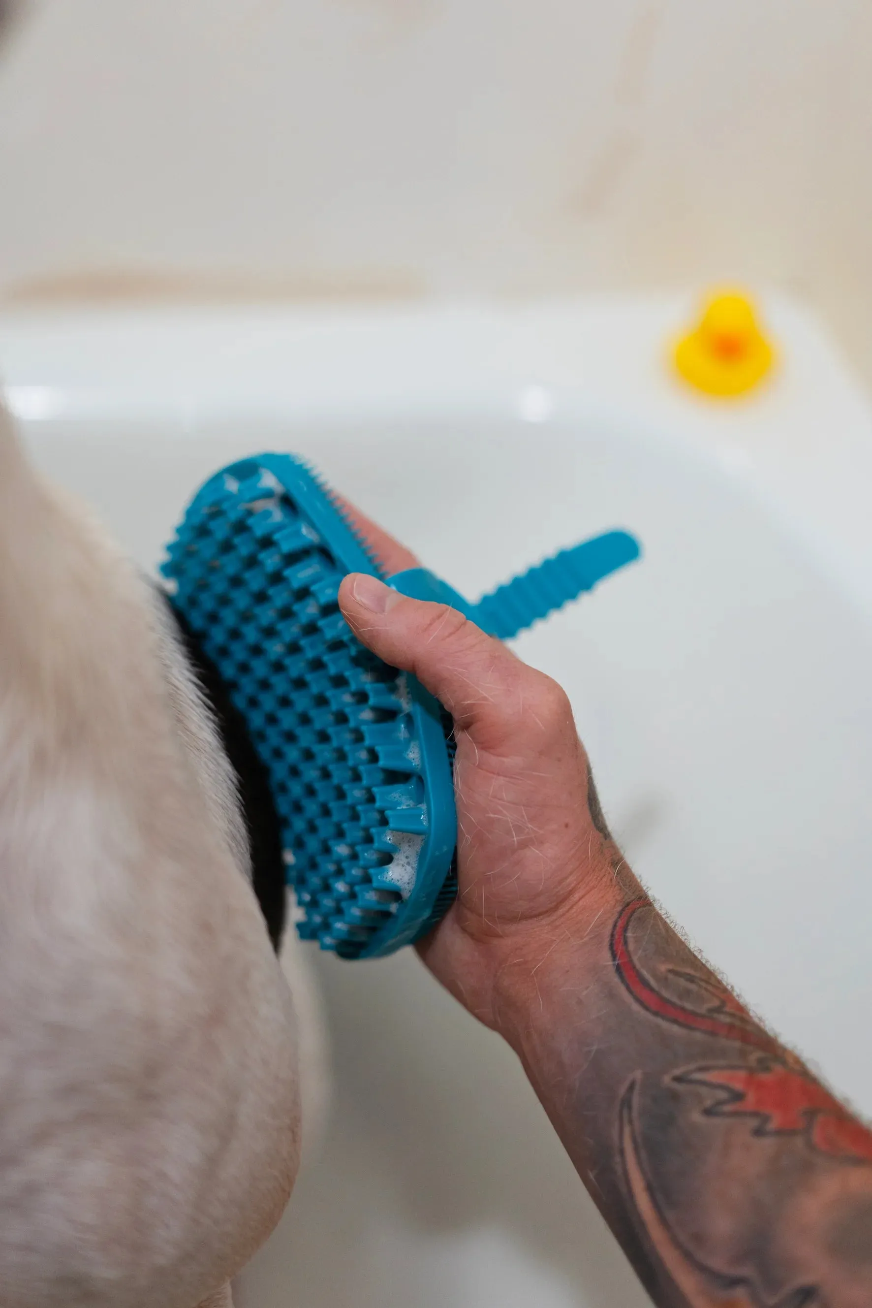 Silicone Dual Sided Grooming Brush with Hand Strap