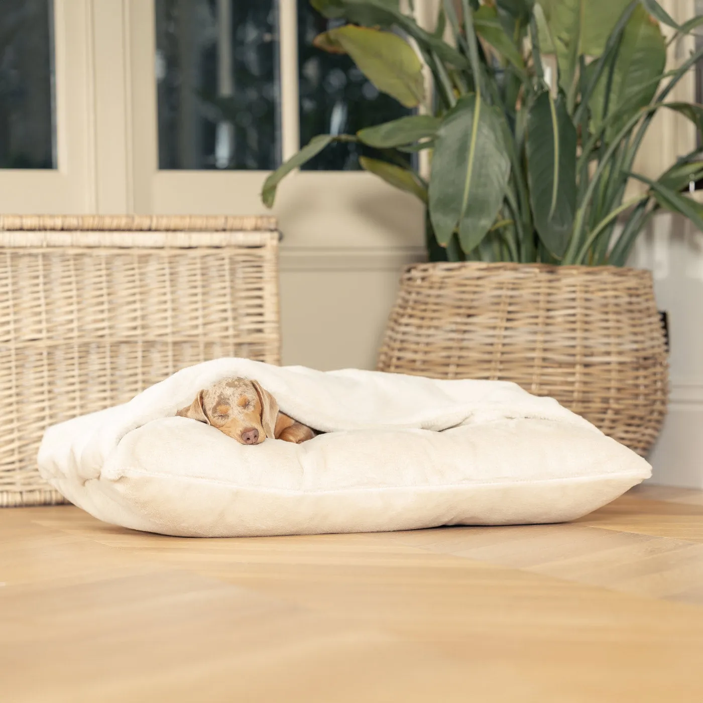 Sleepy Burrows Bed in Calming Anti-Anxiety Cream Faux Fur by Lords & Labradors