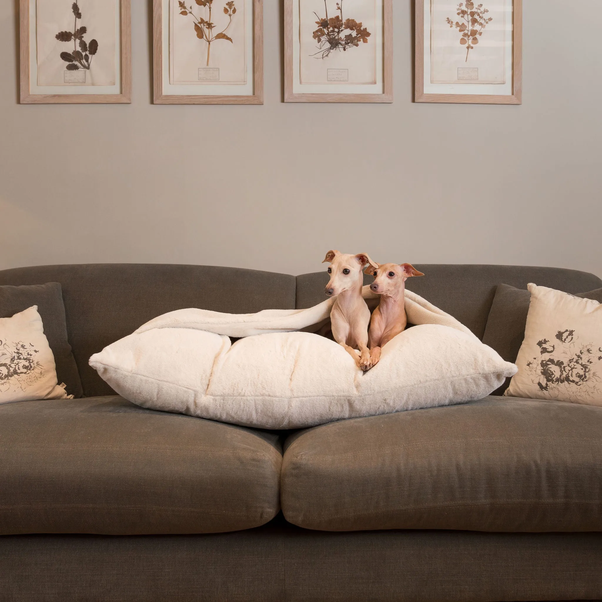 Sleepy Burrows Bed in Calming Anti-Anxiety Cream Faux Fur by Lords & Labradors