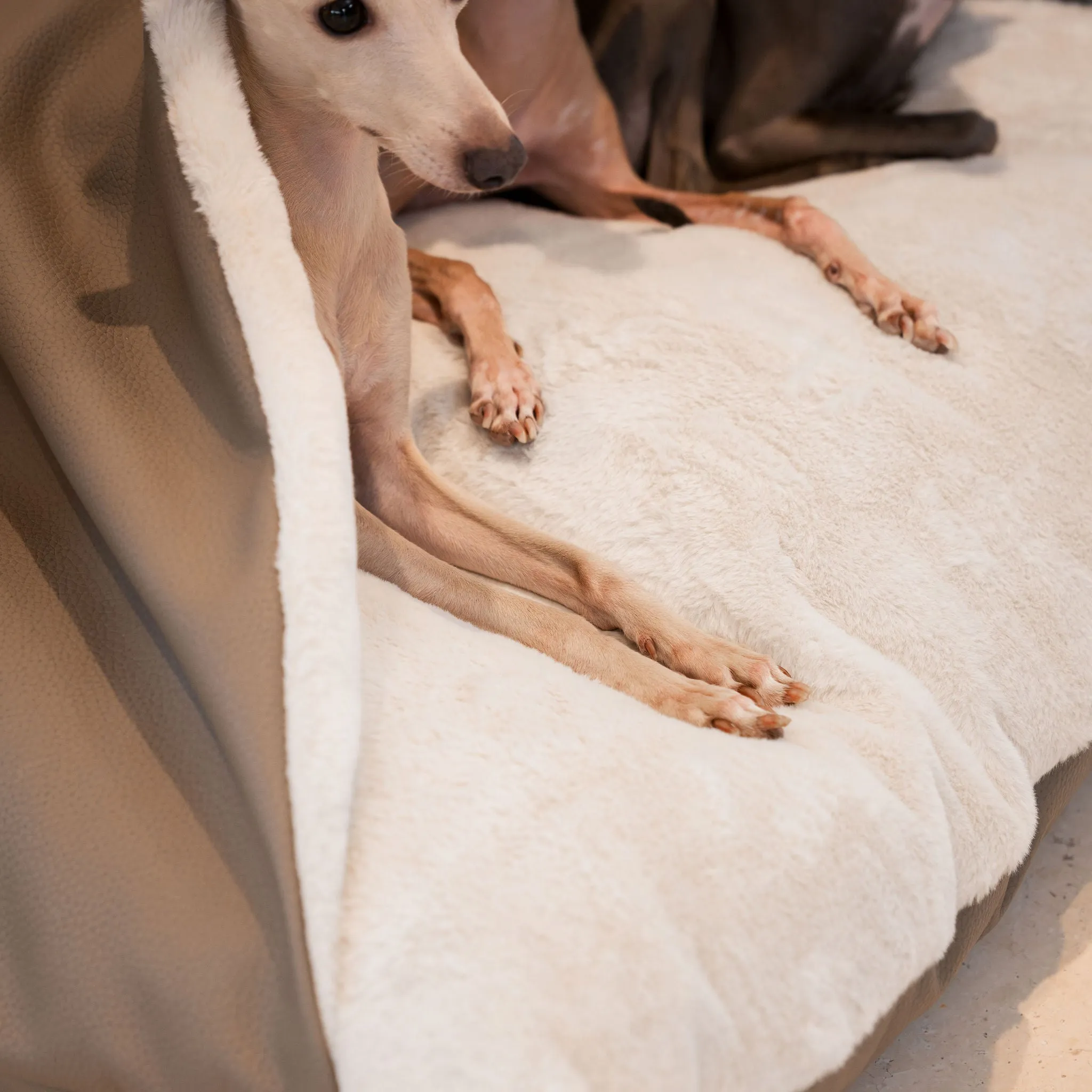 Sleepy Burrows Bed in Camel Rhino Tough Faux Leather by Lords & Labradors