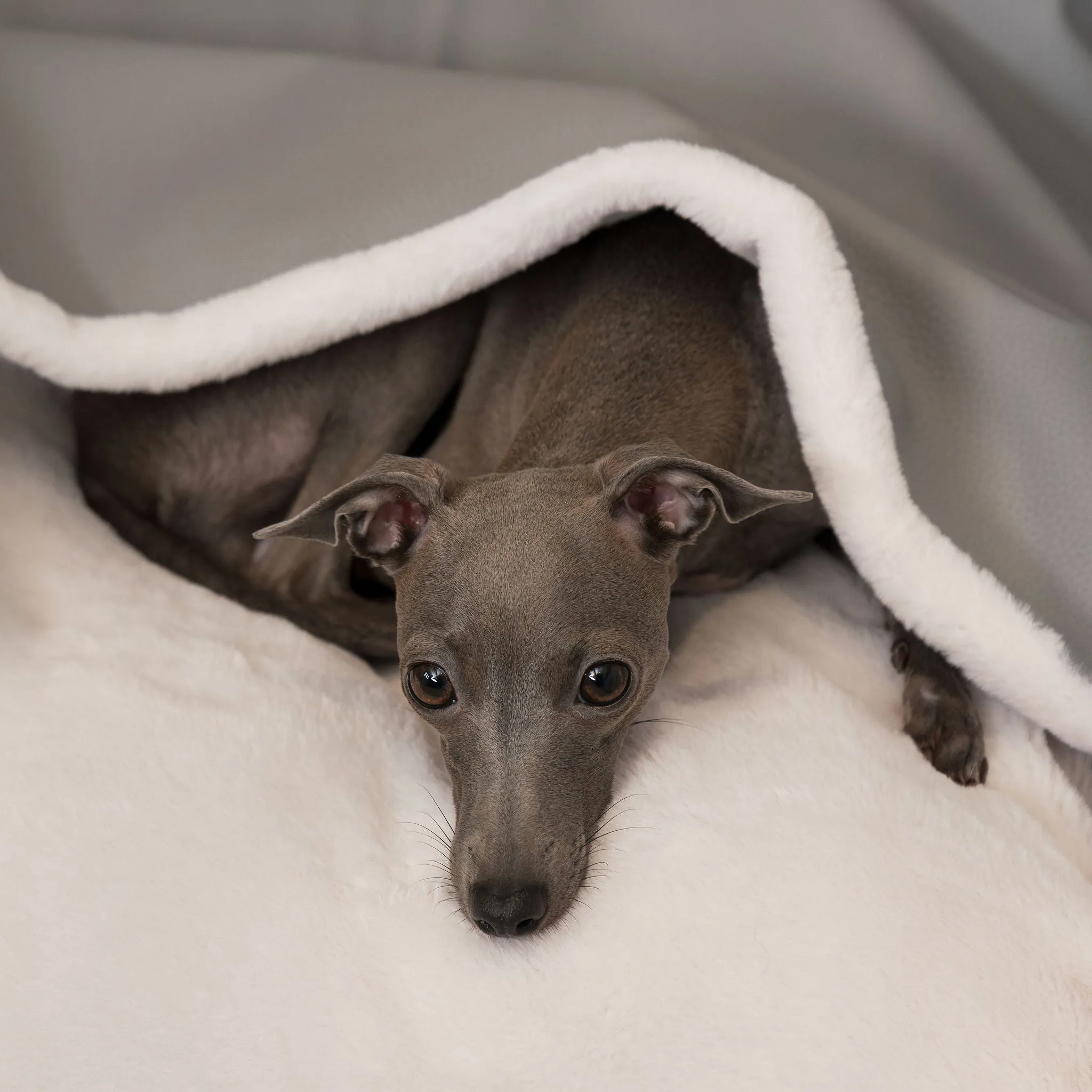 Sleepy Burrows Bed in Granite Rhino Tough Faux Leather by Lords & Labradors