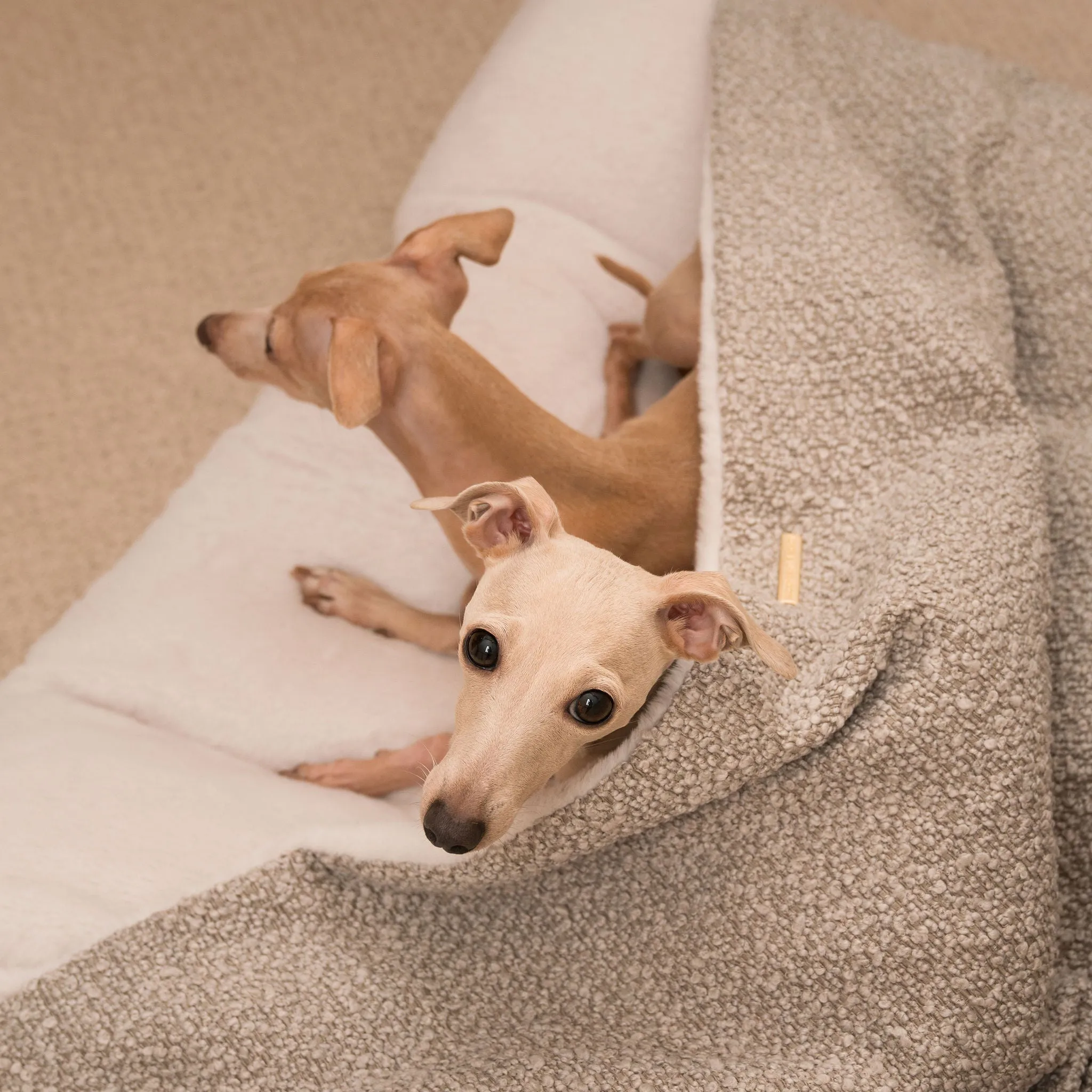 Sleepy Burrows Bed in Mink Bouclé by Lords & Labradors