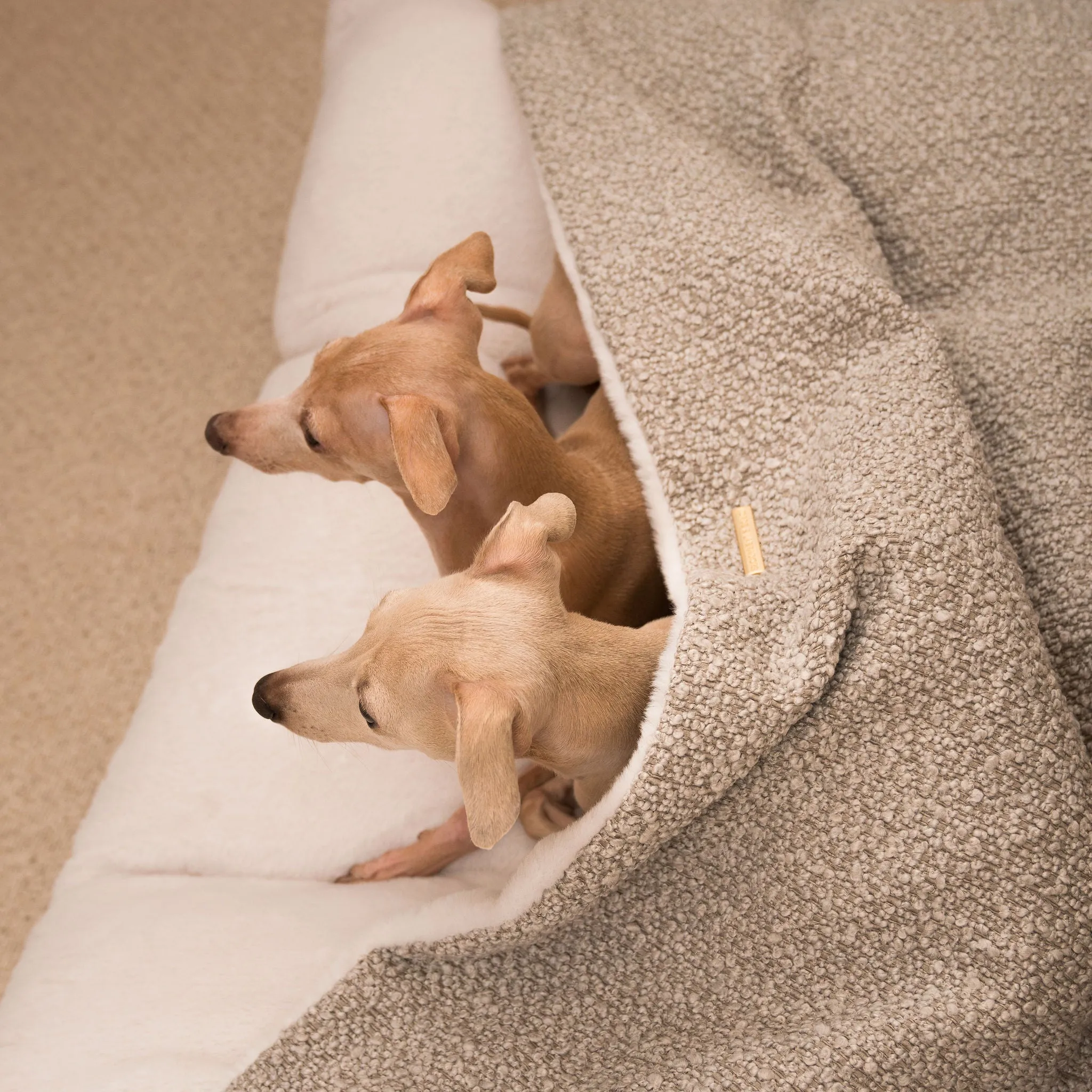 Sleepy Burrows Bed in Mink Bouclé by Lords & Labradors