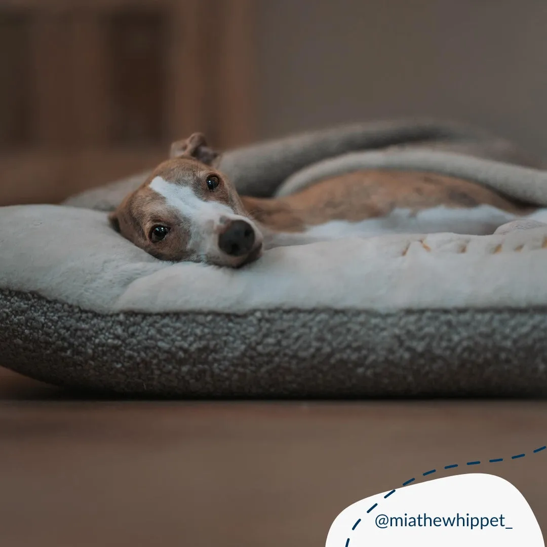 Sleepy Burrows Bed in Mink Bouclé by Lords & Labradors