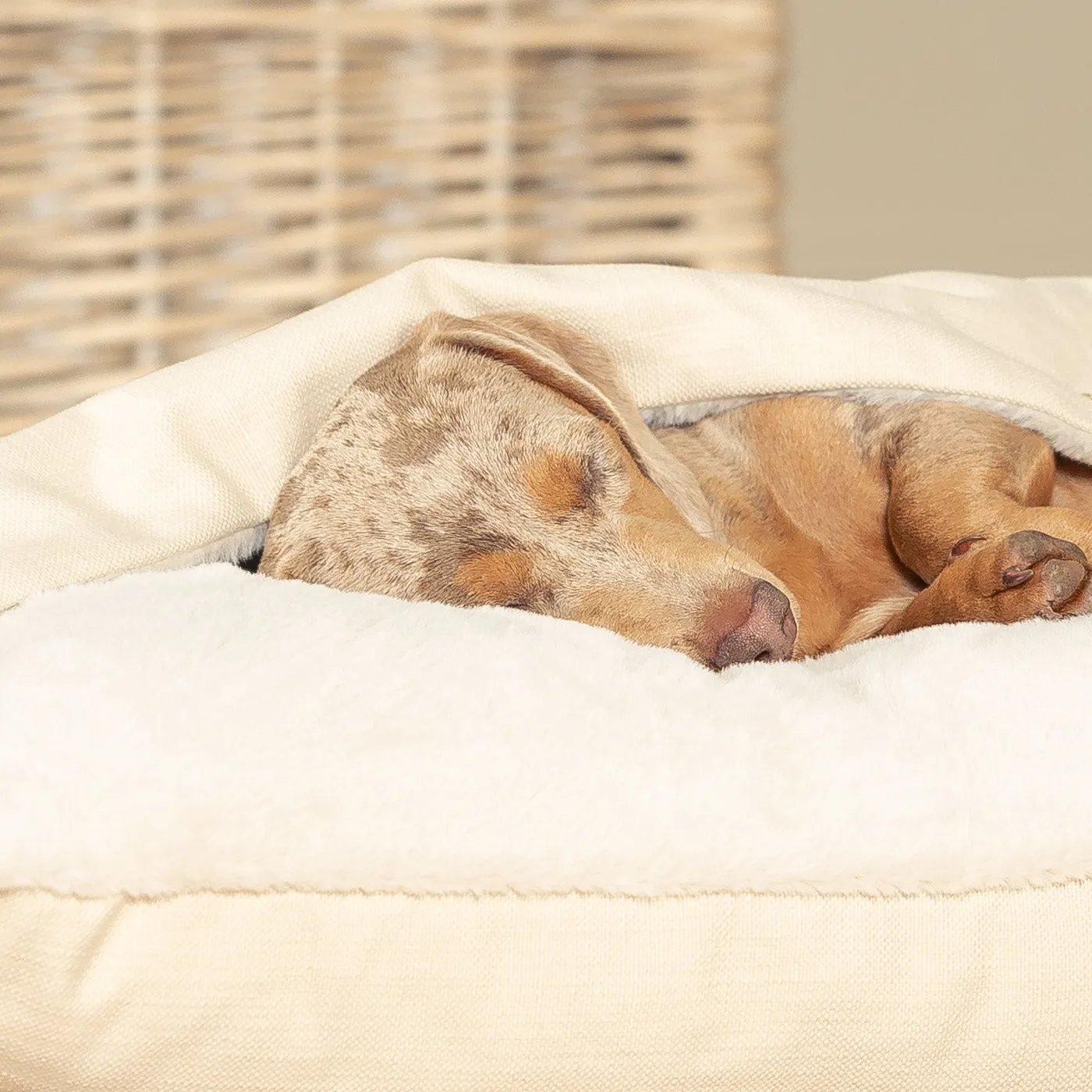 Sleepy Burrows Bed in Savanna Bone by Lords & Labradors