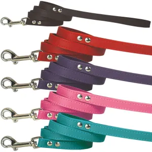 Spike & Stud Signature Leash, 3/4" x 4'