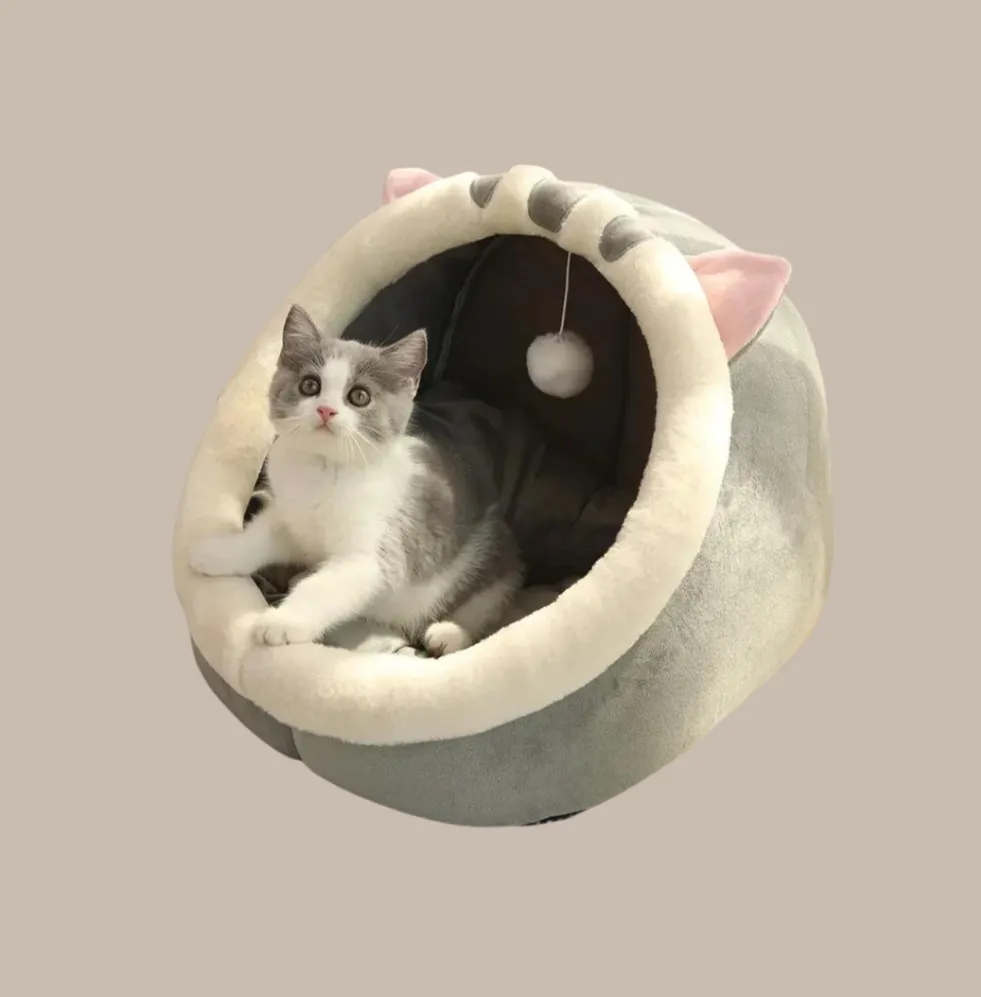 Sweet Soft Pet Bed